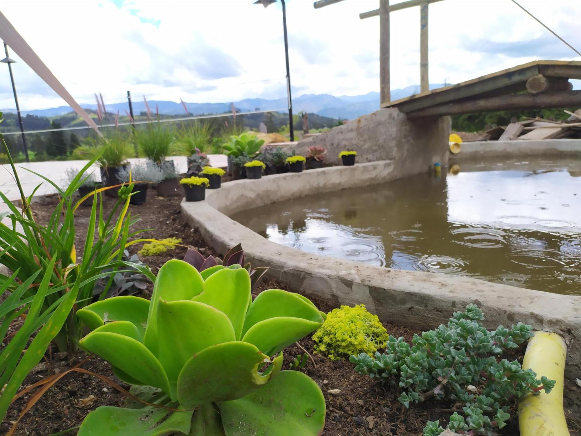 Cabanas & Glamping De Ruana Por Boyaca Пайпа Екстериор снимка