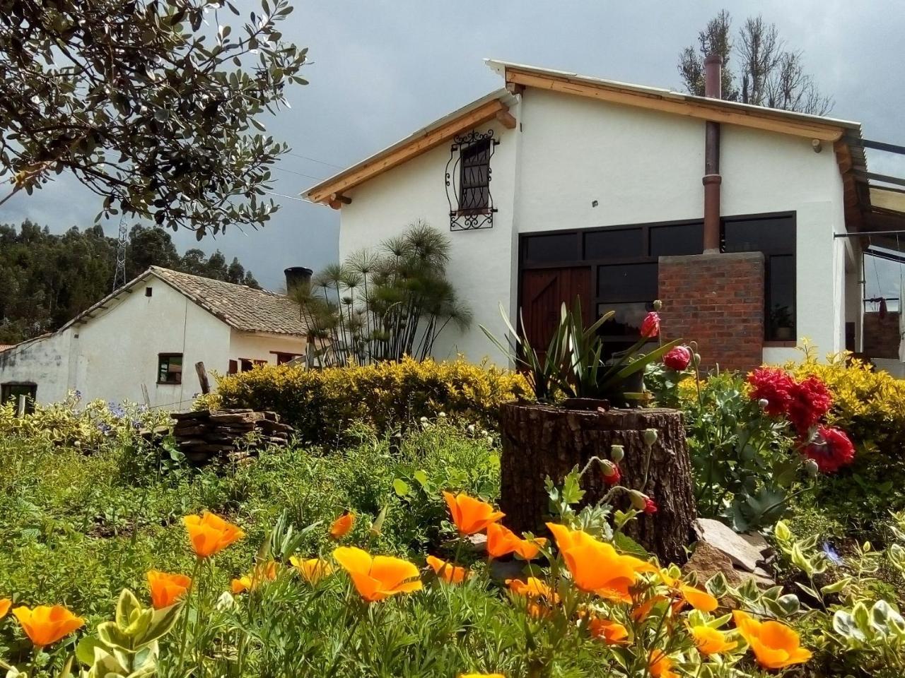 Cabanas & Glamping De Ruana Por Boyaca Пайпа Екстериор снимка